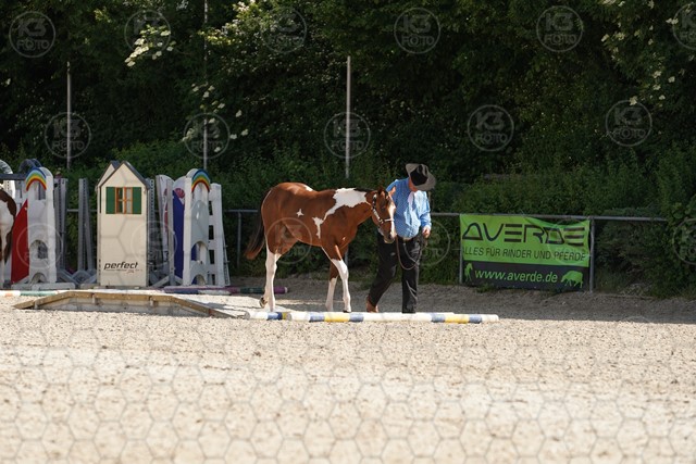 sA9K07620.JPG